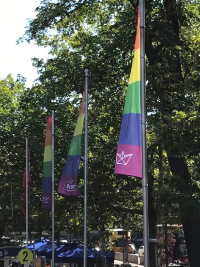 AA 5-pride flag